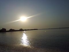 delta vara